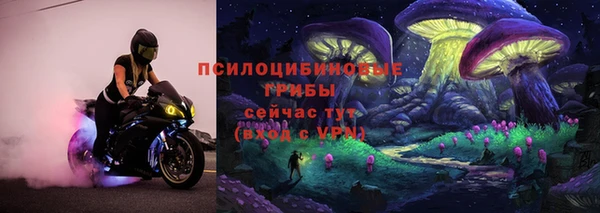 apvp Балахна